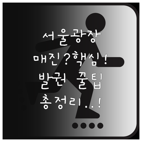 서울광장 스케이트장 입장권 매진 시 ..