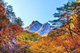 오색약수 설악산 단풍