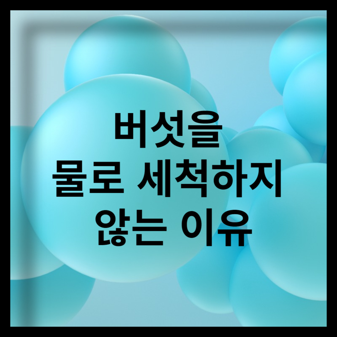 버섯을 물로 세척하지 않는 이유