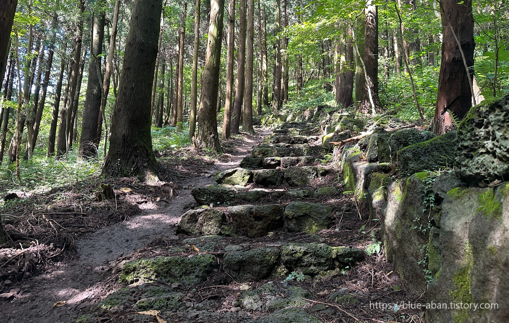 우진제비 오름 산책로