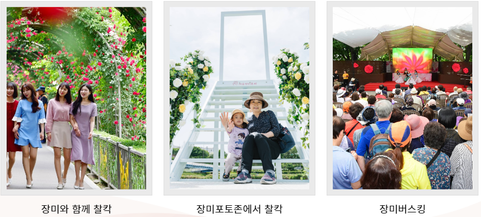 2023.서울 중랑구 장미축제.일정.주차.추천코스.맛집.2023안내.총정리