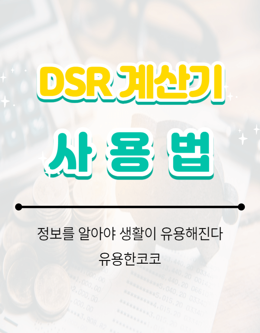 DSR 계산기 사용법