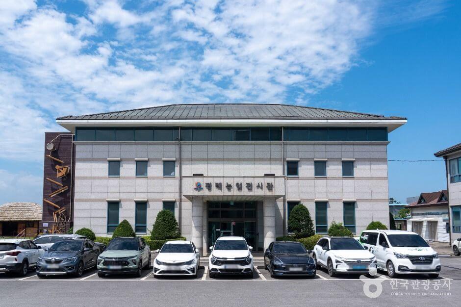 평택 가볼만한곳 베스트 10