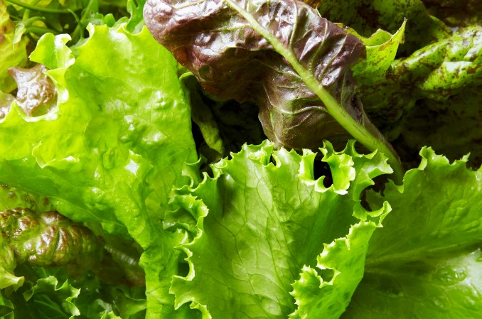 자주 묻는 질문 FAQ