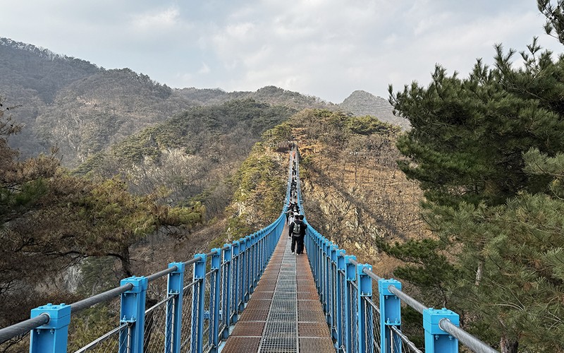 원주 소금산 그랜드밸리 출렁다리 케이블카 요금·코스·주차 완벽 정리 -