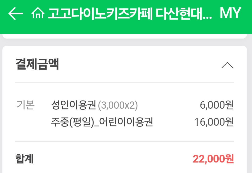 고고다이노-키즈카페-결제금액