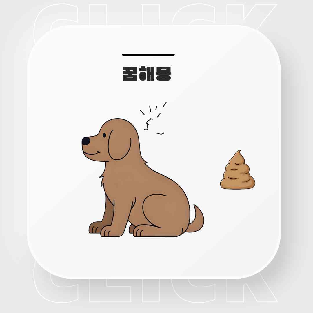 상활별 개똥꿈