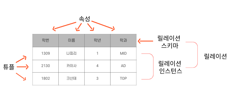 학생 릴레이션