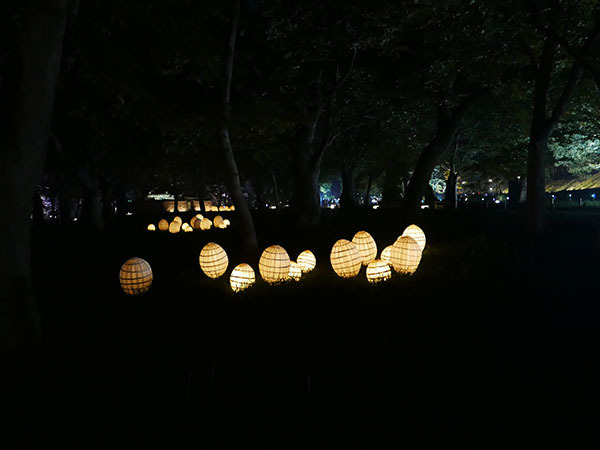 경주국가유산야행축제 2025 &ndash; 신라의 밤&amp;#44; 살아나는 천년의 이야기