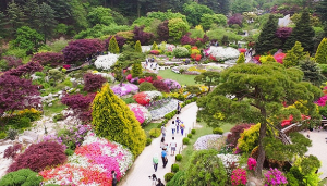 5월에 방문하는 축제 BEST 7