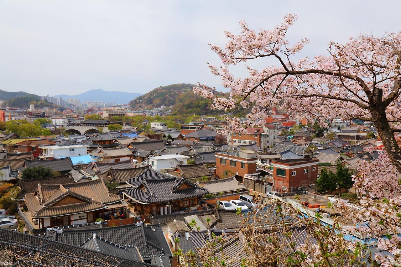 전주 영화제 표 사러 가기