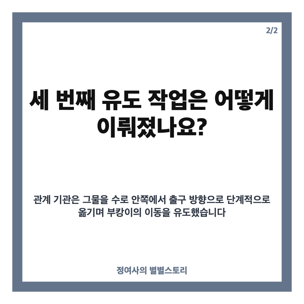 부캉이 유도 작업 완료, 부산 북항 수로 밖 이동 후 외해 진입은? 카드뉴스 3