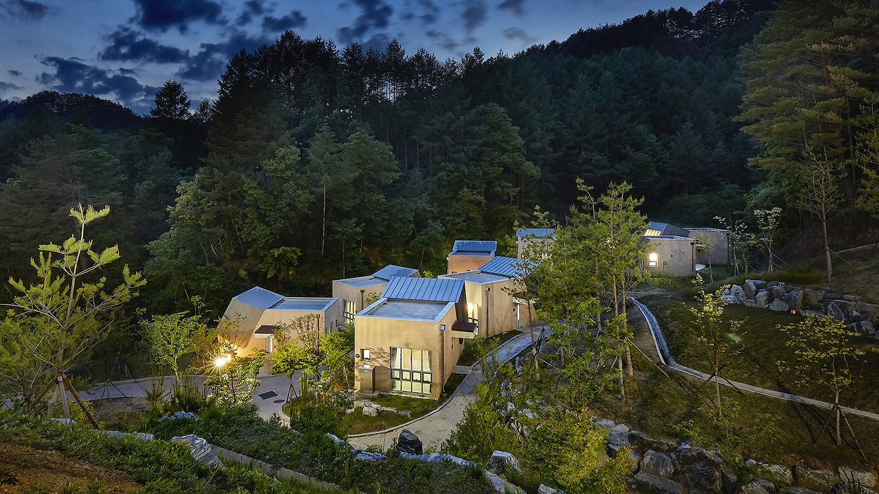 가을 캠핑 경북 울진 금강송 에코리움