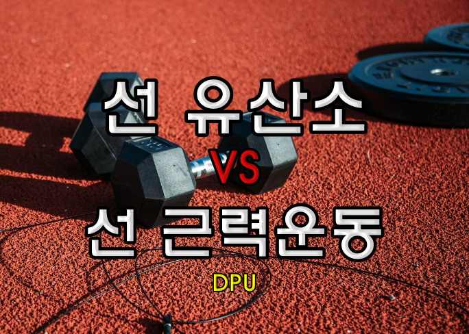 유산소 먼저? 근력 운동 먼저?