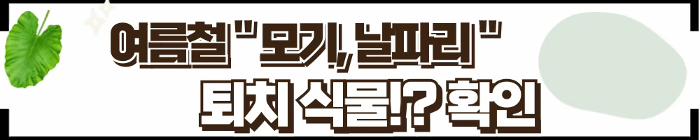 제목을-입력해주세요_ (12).gif
