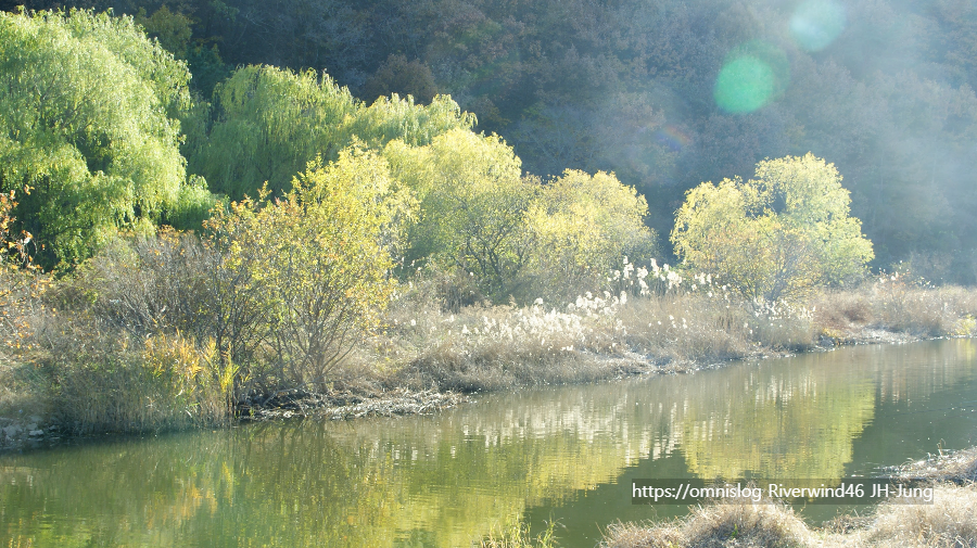솔밭사이로 강물은 흐르고 The River in the Pines