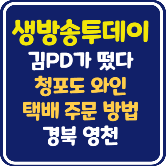 생방송 투데이 김PD가 떴다 경북 영천 청포도 와인 택배 주문 방법