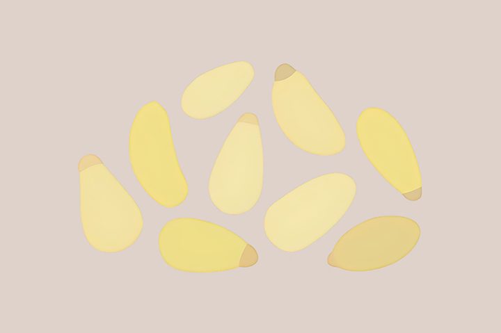 잣-하루-섭취-권장량