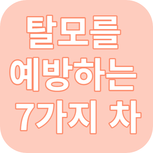 탈모예방 차