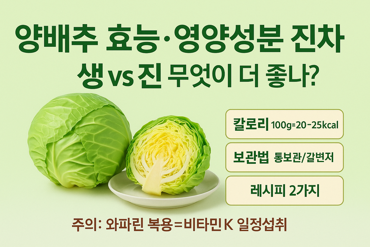 양배추 효능·영양성분 진짜 핵심|생 vs 찐 무엇이 더 좋나? 칼로리·보관법·레시피 2가지