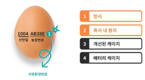 닭 사육 환경