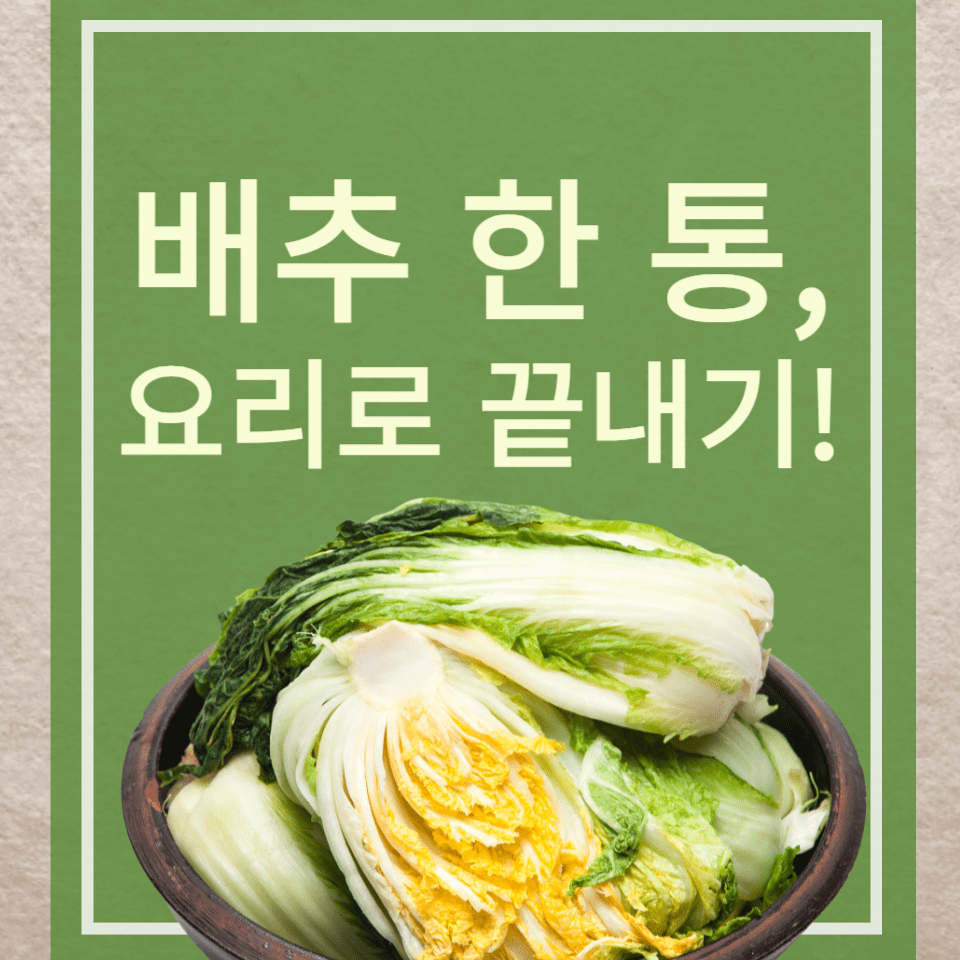 배추 요리 추천 TOP 10 ❘ 남은 배추로 만드는 간단한 집밥 레시피 모음