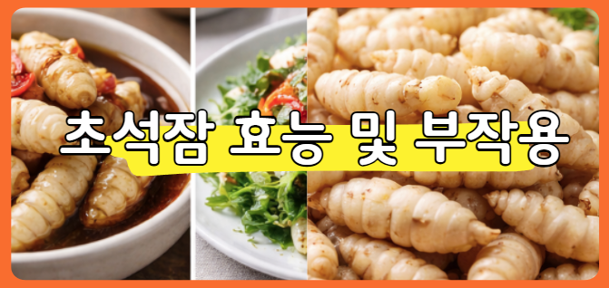 초석잠 효능 부작용 정리 및 먹는방법 (장아찌 1인분)