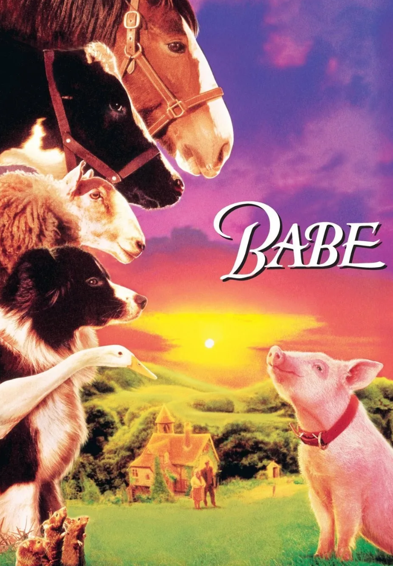 꼬마돼지 베이브