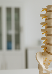 척추 전방전위증