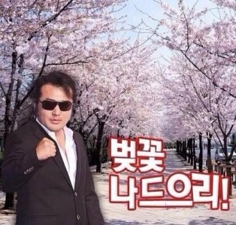 2025년 벚꽃 개화 시기 및 만개 시기 총정리(+벚꽃축제 일정)