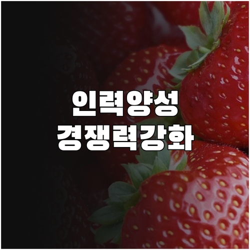 2025 중소기업 경쟁력 강화, 인력..