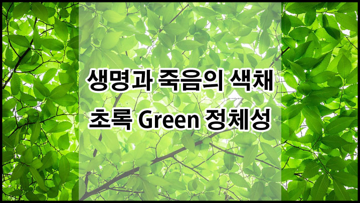 본래는 2차색
