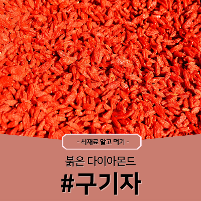 구기자