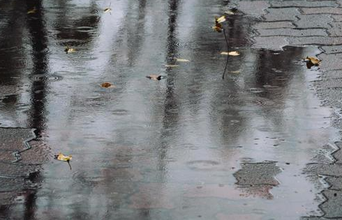 2025년 장마철 완벽 대비법