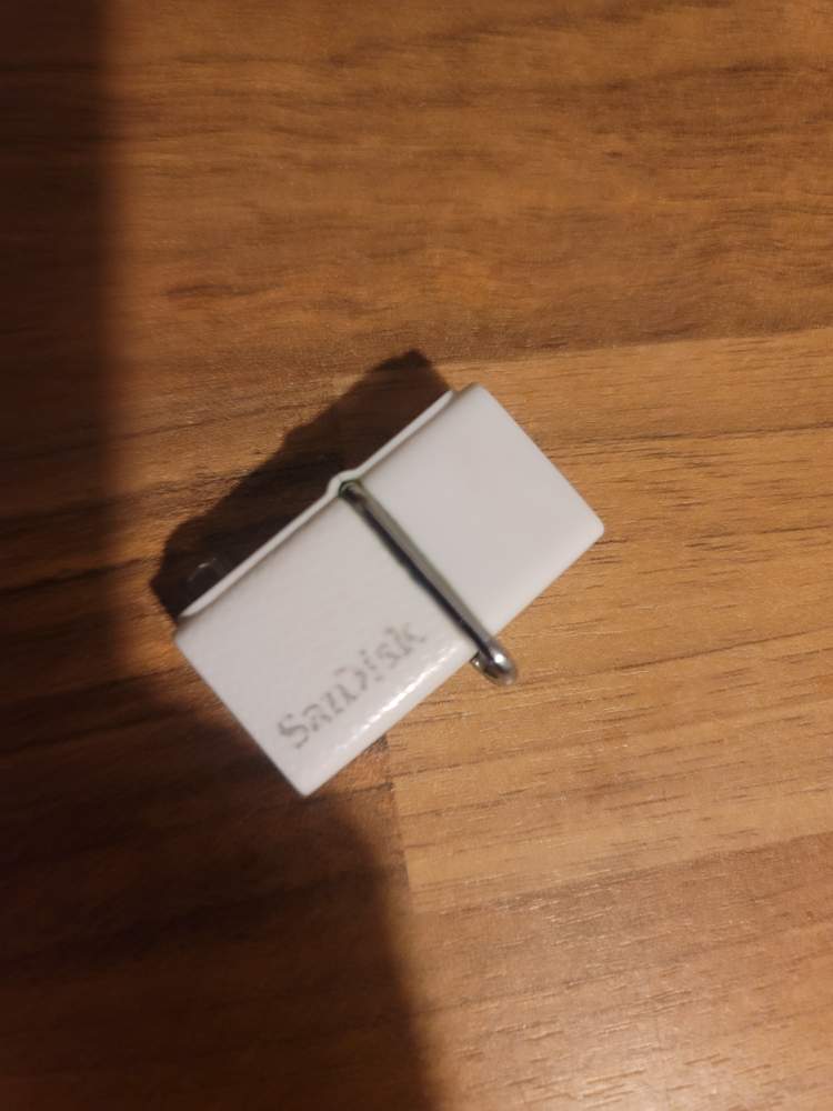 샌디스크