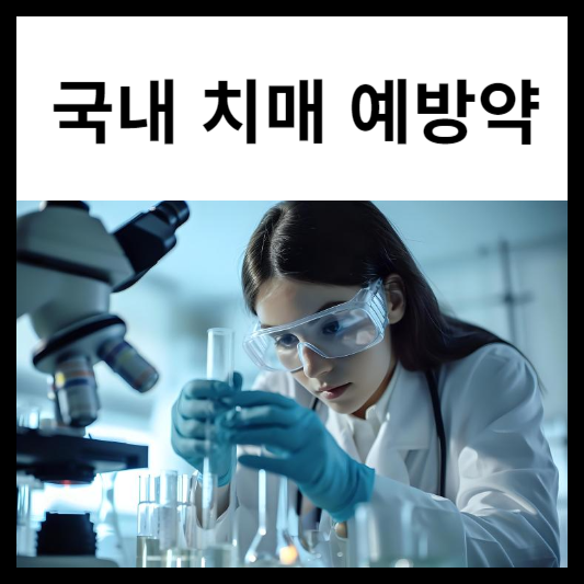 국내 치매 예방약