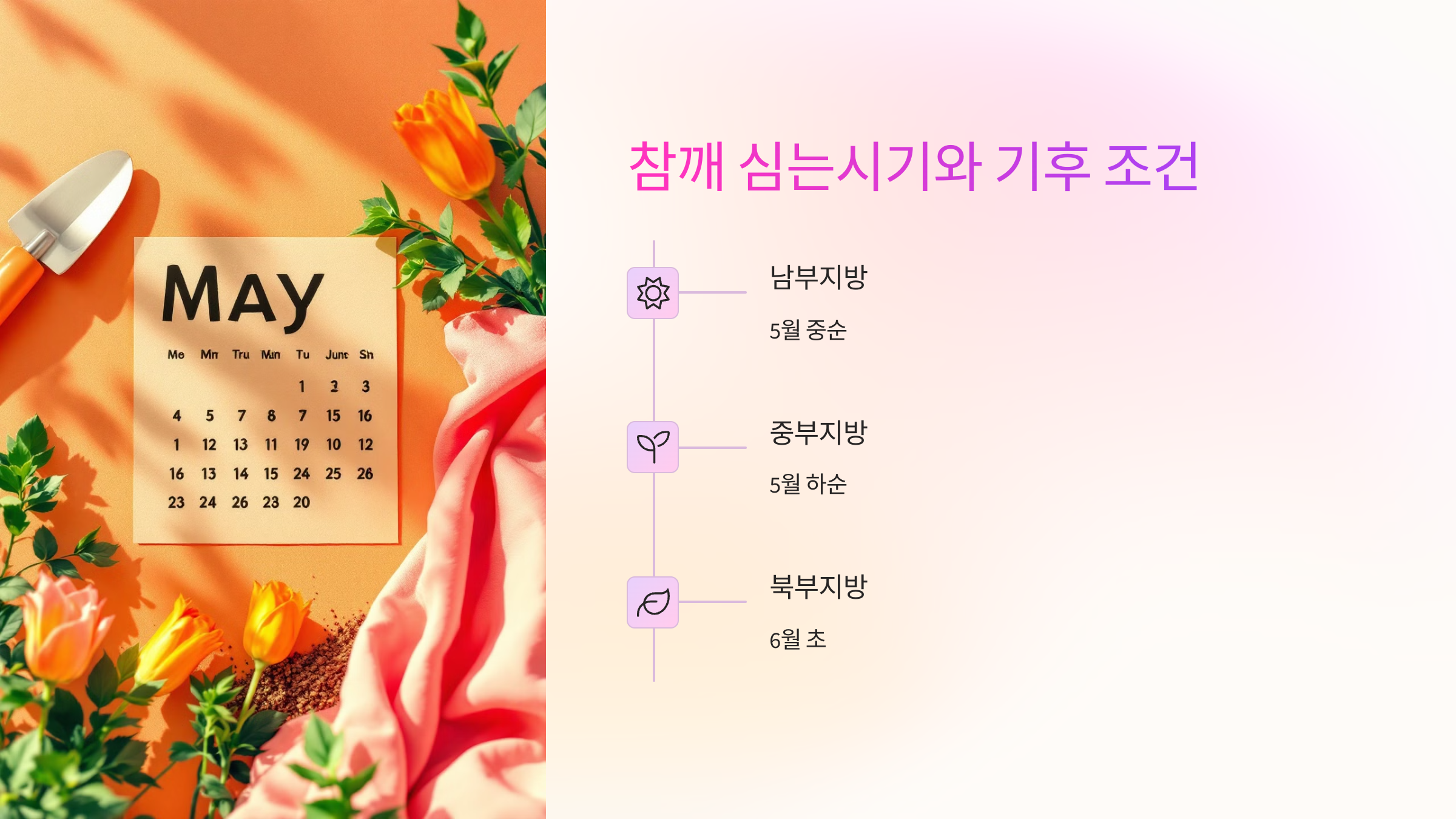 🌾 참깨 심는시기와 기후 조건