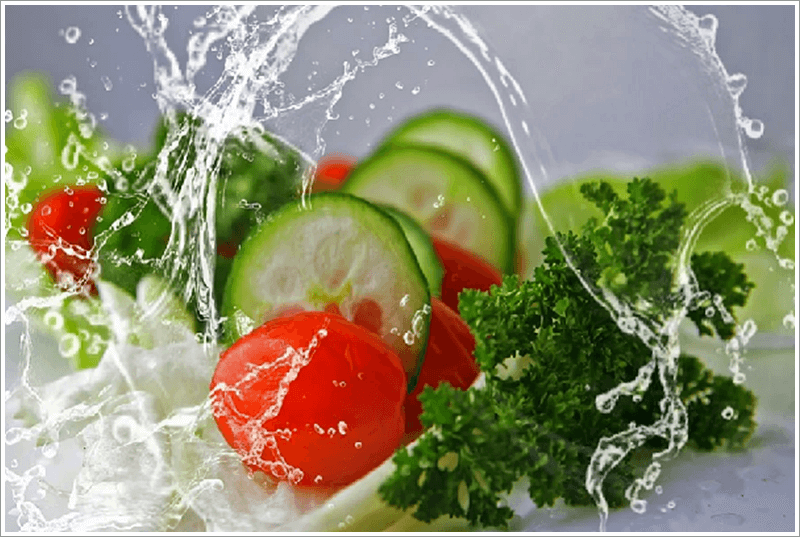 수분을 채울 수 있는 과일과 채소들