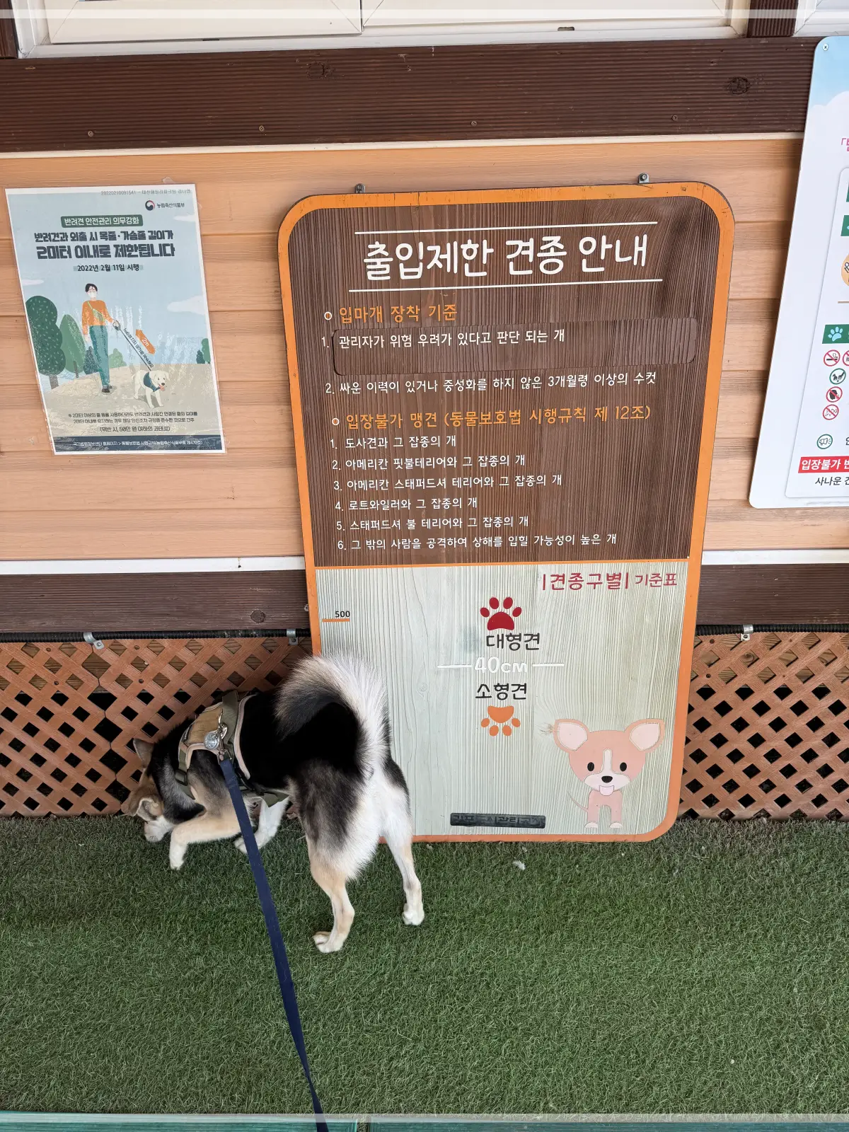 태산-패밀리-파크-반려견-놀이터-안내문