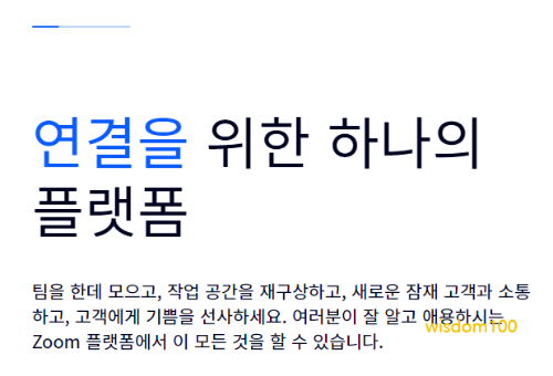 Zoom 사이트