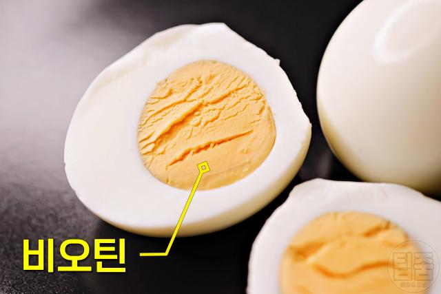 손톱 갈라지고 부러질때 챙겨 먹을 음식 영양소 달걀 노른자