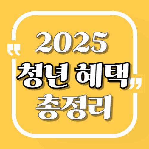 2025 청년 혜택 총정리