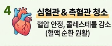 머위 효능