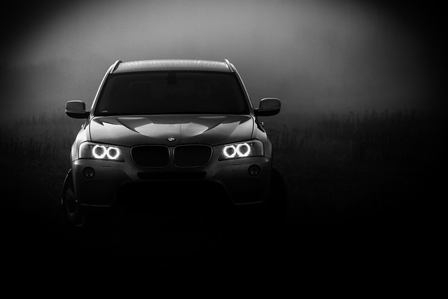 bmw x