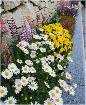 6월 날씨 전망 최신판 총정리_17