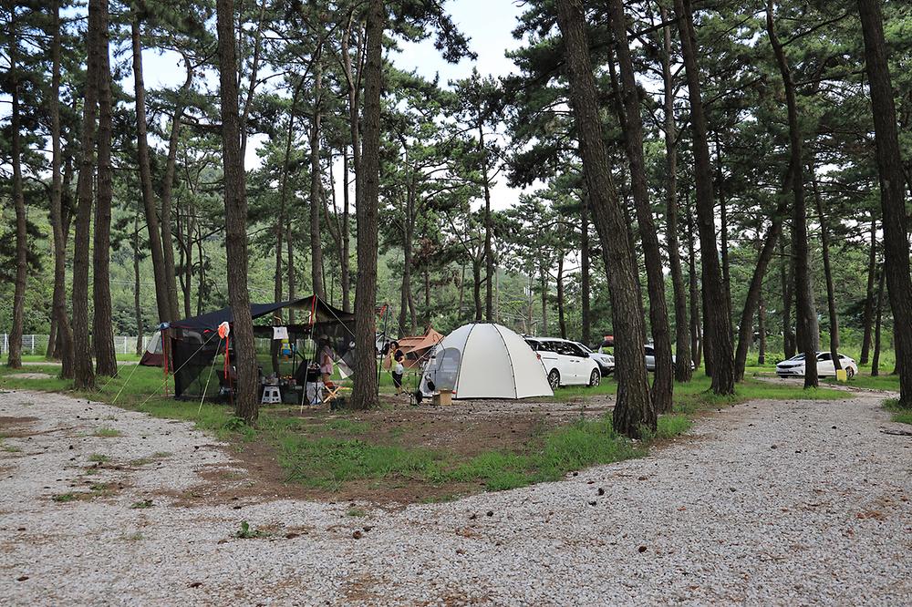 전북 고창 구시포 노을캠핑장 소개