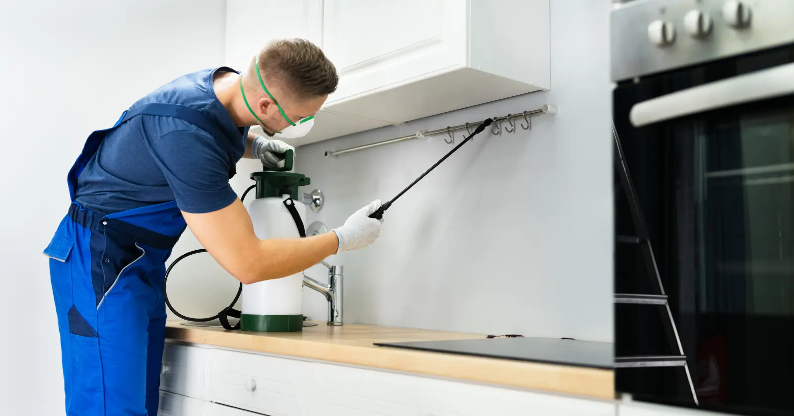 세스코 가정집 가격: 면적별 기본요금 정리