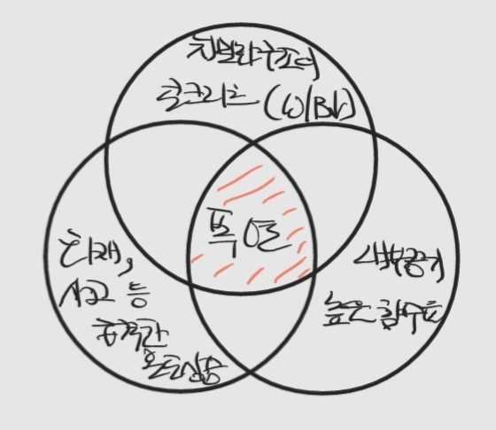 콘크리트 폭열현상의 Mechanism