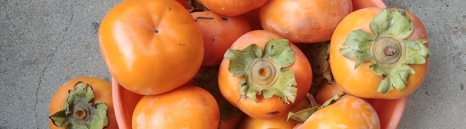 우리아이 건강을 위한 '면역력 높이기' 건강한 식습관 만들기