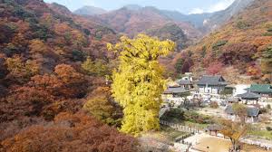 10월 서울근교 가볼만한 곳 베스트